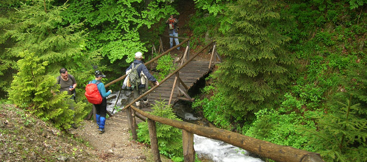 Pešačke ture na Kopaoniku